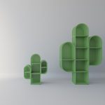 cactus-Shelf1